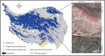 Soil texture influences soil bacterial biomass in the permafrost-affected alpine desert of the Tibetan plateau